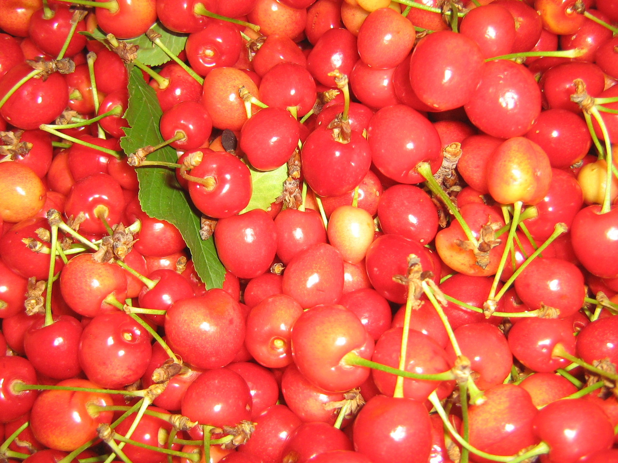 6 Wonderful Ways to Use This Year’s Cherry Crop